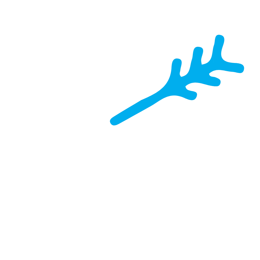 main-web